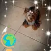 ermamayberry - @ermamayberry - TikTok