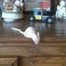 Erma Mayer - Facebook