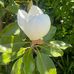 Erma Mayes - Facebook
