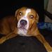 Erma Mays - Facebook