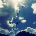 Erma Mcquay - Facebook
