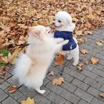 Irma Meyer - @irma.miller.90 - Instagram