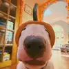 MisterMainer - @mistermainer - TikTok