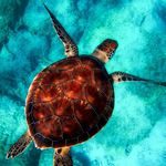 irma.morton.719 - @irma.morton.719 - Instagram