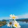 ermaphillips8b9p - @ermaphillips8b9p - TikTok