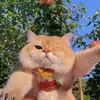 ตุ๊ต๊ะจึ๋งปึ๋งง - @ermarowe1972 - TikTok