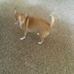 Erma Stark - Facebook
