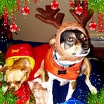 Irma Sutton - Facebook