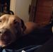 Erma Townsend - Facebook