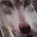 Erma Sis Wright - @ermawright1958 - Instagram