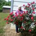 Erma Wright - Facebook