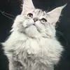 ermawright6 - @erma.wright02 - TikTok