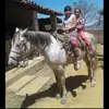 Ermila Martinez - @ermilamartinez2 - TikTok