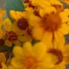 Erminia Ramirez - @erminia.ramirez8 - TikTok