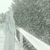 Erna Albert - @erna.albert1 - TikTok