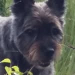 Erna Alberts-Joling - @alberts.erna - Instagram
