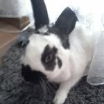 Na Erna - @ernabajramovic111 - Instagram