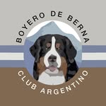 Boyero de Berna Club Argentino - @boyerodebernaclub - Instagram