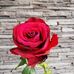Erna Hahn - Facebook