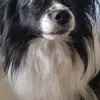 Erna Huber - @erna.huber - TikTok