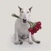 Erna J - @ernajacobs256 - TikTok