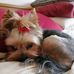 Erna Jacobs - Facebook