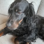Erna Jacobsen - @erna.jacobsen - Instagram