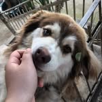 Erna Zakharyan - @ernazakharyan - Instagram