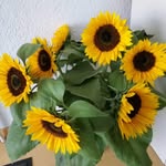 Erna Schwab - @erna.schwab.9 - Instagram