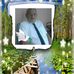Ernest Abbott - Facebook