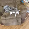 ernest_alexander60 - @ernest_alexander60 - TikTok