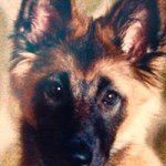 Ernest Bachmann - @ernestbachmann - Instagram