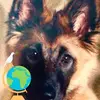 ernestbachmann - @ernestbachmann - TikTok