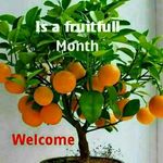 BARON ERNEST - @baron_ernest_191 - Instagram