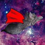 Ernest Bean Meowingway Baron - @beanieboy_ernie - Instagram