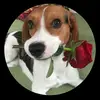 Barton Ernesty - @bartonernesty707 - TikTok