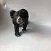 Ernest Bear - Facebook