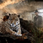 Ernest Beard - @ernestbeard - Instagram