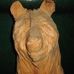 Ernest Stavro Bear - Facebook