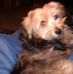 Ernest Beebe - Facebook