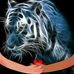 Ernest Belanger - Facebook