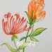 Ernestine Benally - Facebook