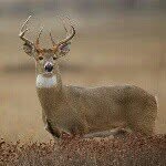 ERNEST - @ernest_berry2525 - Instagram