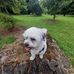 Ernie Bevin - Facebook
