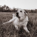 Ernest Watson Bishop - @thewatsonbishop - Instagram