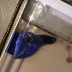 Ernest Rodriguez - @ernest_bluefish - Instagram