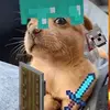 Ernest Wright - @ernest.wright03 - TikTok