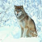 Ernest Boisvert - Facebook