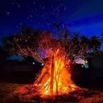 Ernest Bowles - @ernest_cbd - Instagram