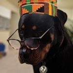 Ernest Broom - @alister_dm - Instagram